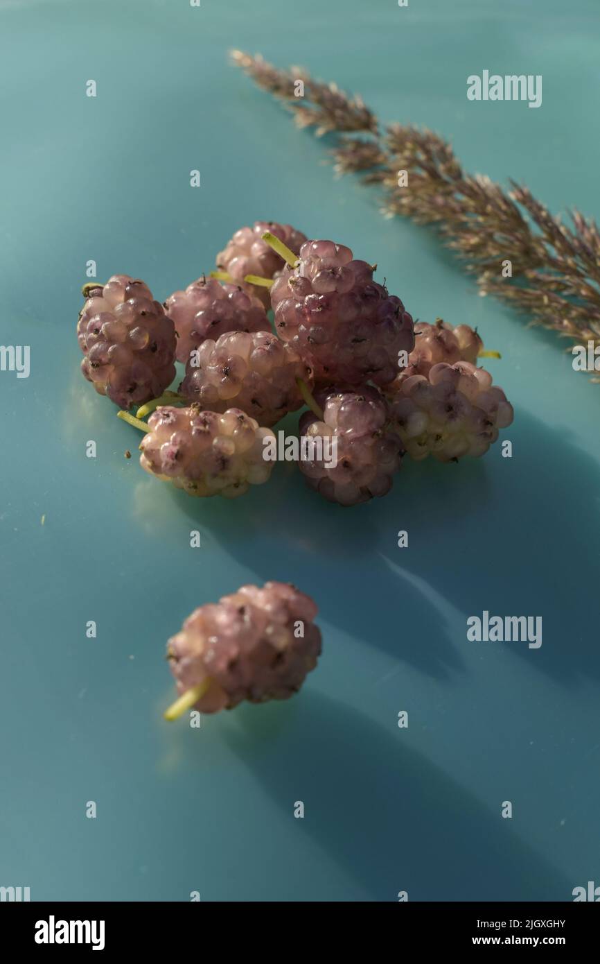 Draufsicht auf reife rosa Maulbeeren Stockfoto