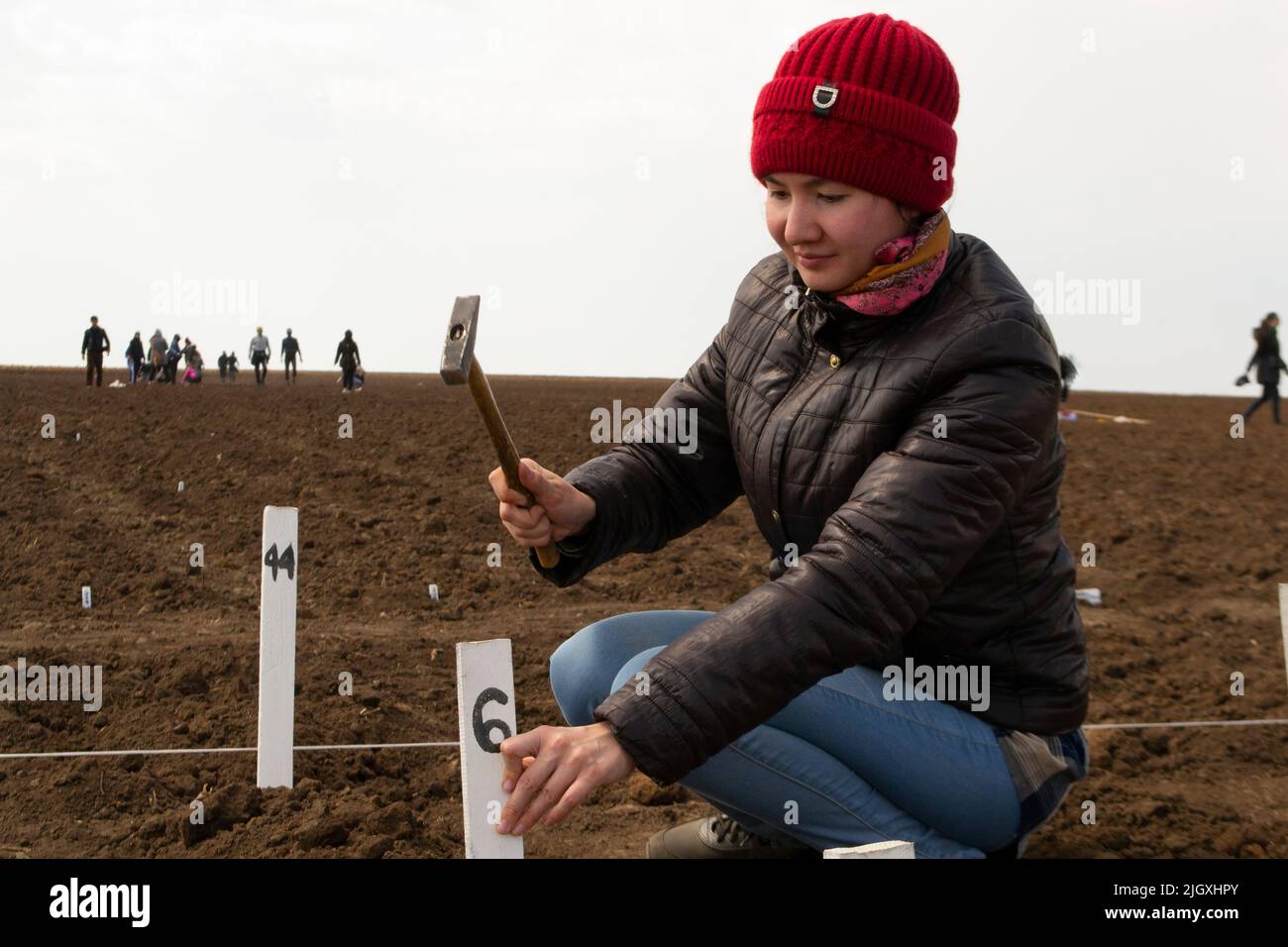 Mädchen arbeiten auf dem Feld mit einem Hammer im Feld Stockfoto