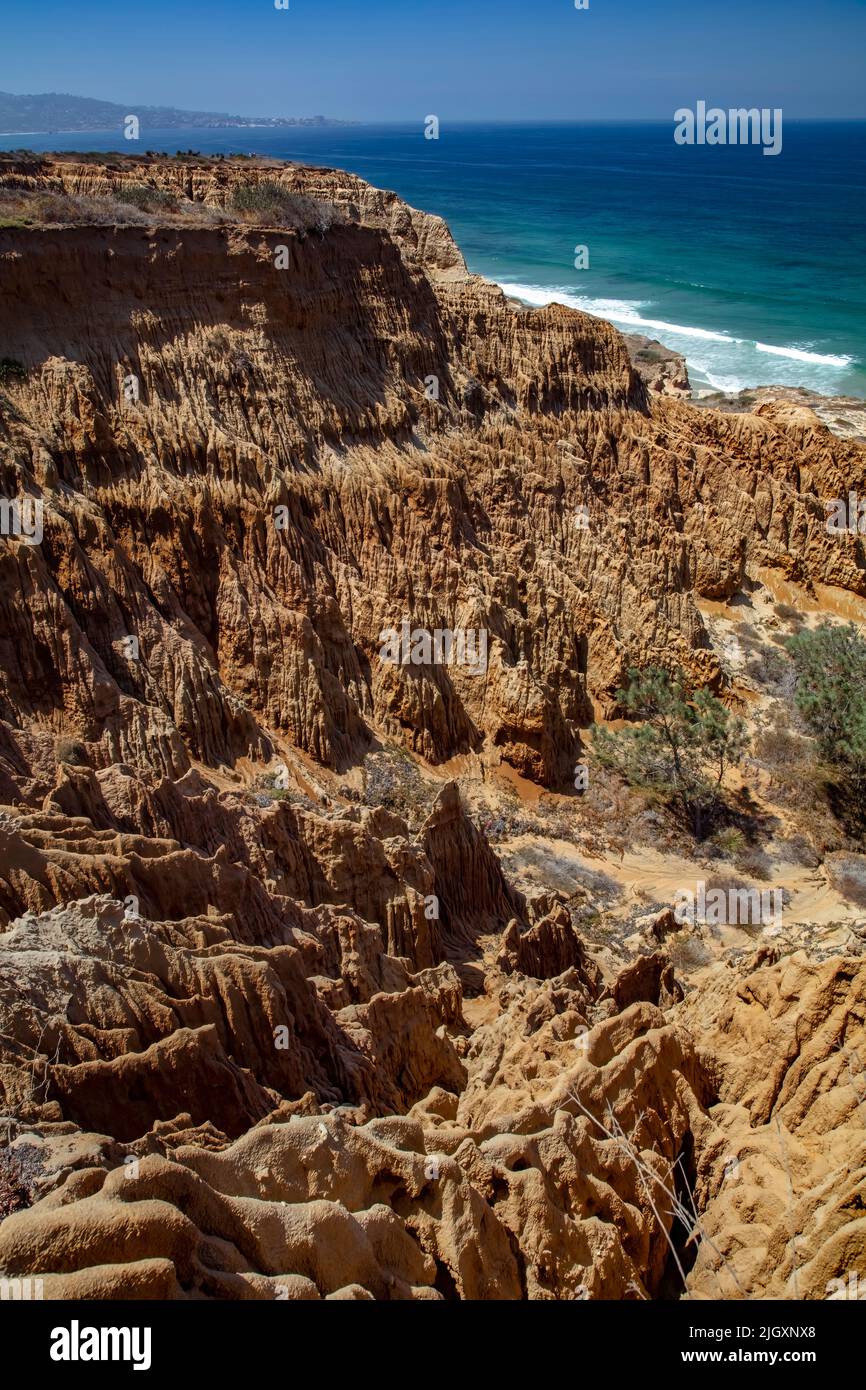 Razor Point Badlands, Torrey Pines State Reserve, La Jolla, CA Stockfoto