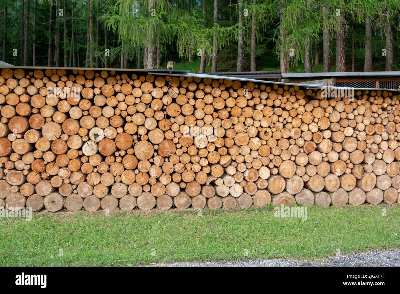 Ein Holzstapel aus gehacktem Holz im Hinterhof. Ein großer Stapel von Holzstämmen. Brennholz. Stockfoto