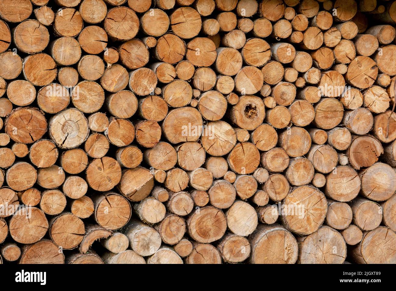 Ein Holzstapel aus gehacktem Holz im Hinterhof. Ein großer Stapel von Holzstämmen. Brennholz. Stockfoto