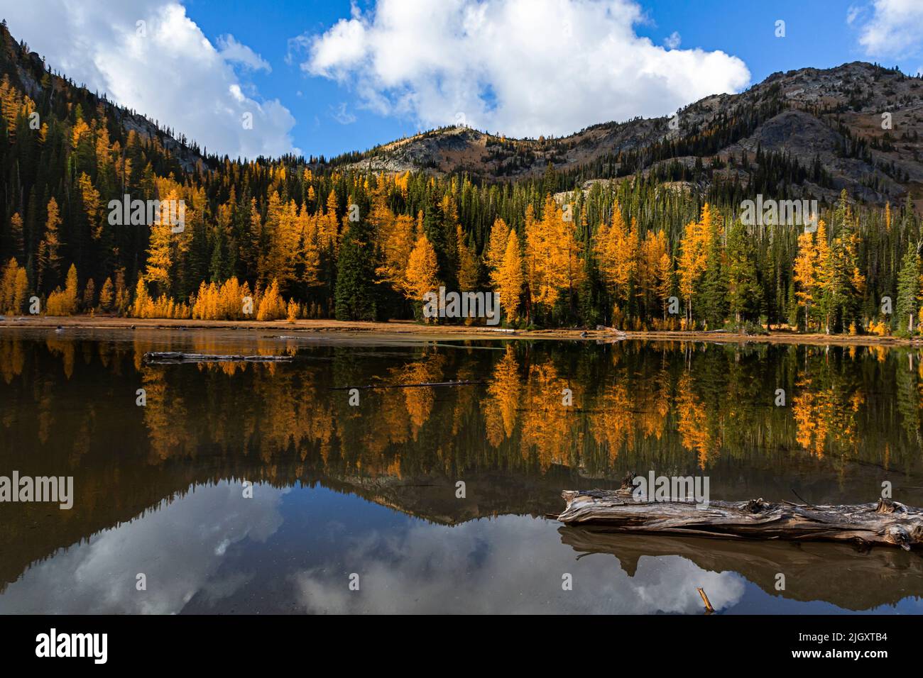 WA21728-00...WASHINGTON - Alpine Lärche spiegelt sich in den stillen Gewässern des Lärchensees; Herbstzeit in der Glacier Peak Wilderness. Stockfoto