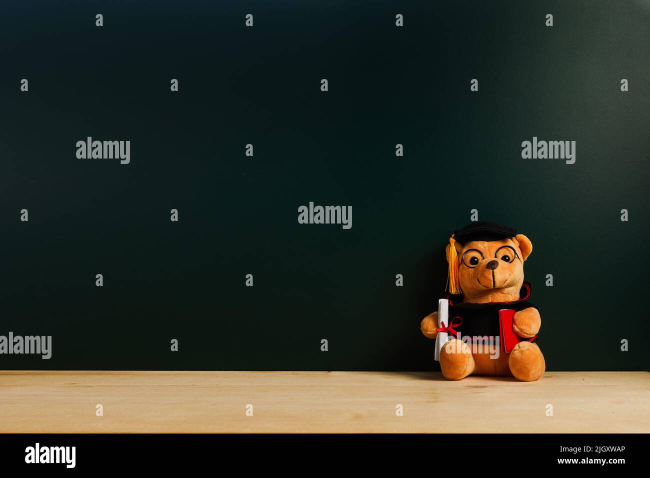 Teddybär mit Abschlusshut und Diplom vor grüner Tafel. Abschlusskonzept Stockfoto