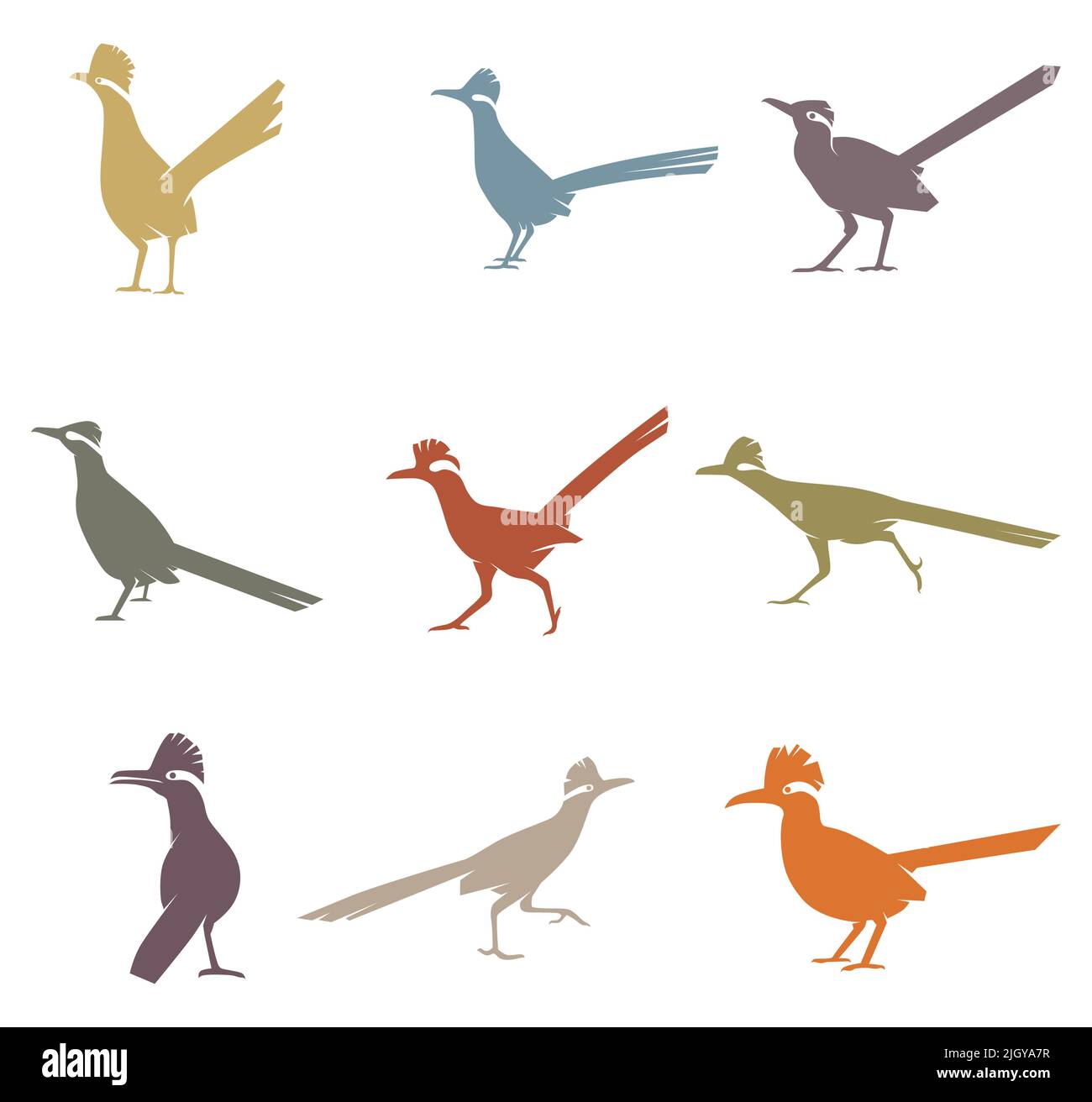 Sammlung Von Roadrunner Birds Stock Vektor