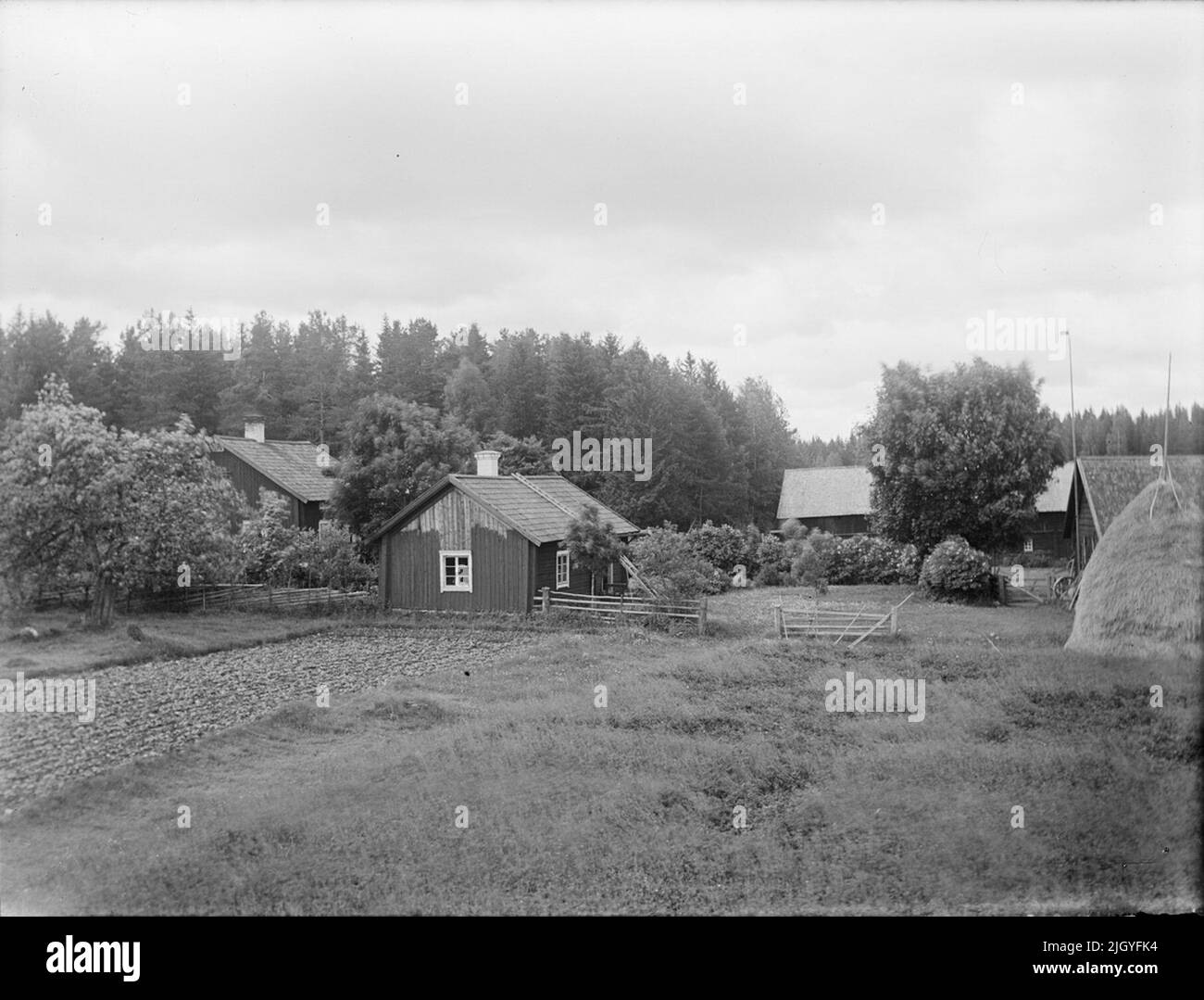 Wohngebäude, Felder und Strohstapel. Die Bildsammlung von Josef Ärnström wurde vom Upplands Museum 2011 erworben.Josef Ärnström wurde 1887 in Keps, Gemeinde Hållnäs, Uppland, geboren. Er war mit Nora Selldin, geboren in Timrå, Medelpad, verheiratet. Sowohl Josef als auch seine Frau Nora nahmen um 1910 am Lehrerseminar in Uppsalla ihren Abschluss. In Medelpad erhielt das Paar als frisch verheiratetes Paar zwischen 1910 und 12 ihre ersten Lehrerdienste an der Bergschule. Der Umzug ging dann nach Lappland, wo Josef zwischen 1913 und 18 in Toulleuvaara angestellt war. Joseph beendete seine Karriere als Übungsschmerz Stockfoto