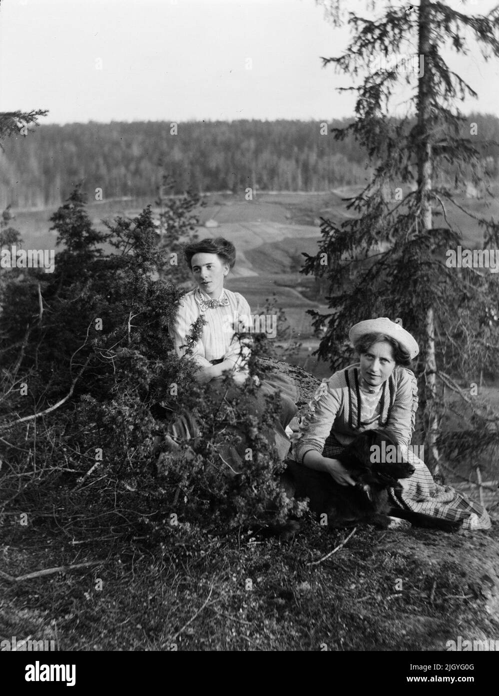 Zwei Frauen und ein Hund im Wald, wahrscheinlich Berge, Medelpad 1909 - 1911. Die Bildsammlung von Josef Ärnström wurde vom Upplands Museum 2011 erworben.Josef Ärnström wurde 1887 in Keps, Gemeinde Hållnäs, Uppland, geboren. Er war mit Nora Selldin, geboren in Timrå, Medelpad, verheiratet. Sowohl Josef als auch seine Frau Nora nahmen um 1910 am Lehrerseminar in Uppsalla ihren Abschluss. In Medelpad erhielt das Paar als frisch verheiratetes Paar zwischen 1910 und 12 ihre ersten Lehrerdienste an der Bergschule. Der Umzug ging dann nach Lappland, wo Josef zwischen 1913 und 18 in Toulleuvaara angestellt war. Joseph beendete sein c Stockfoto