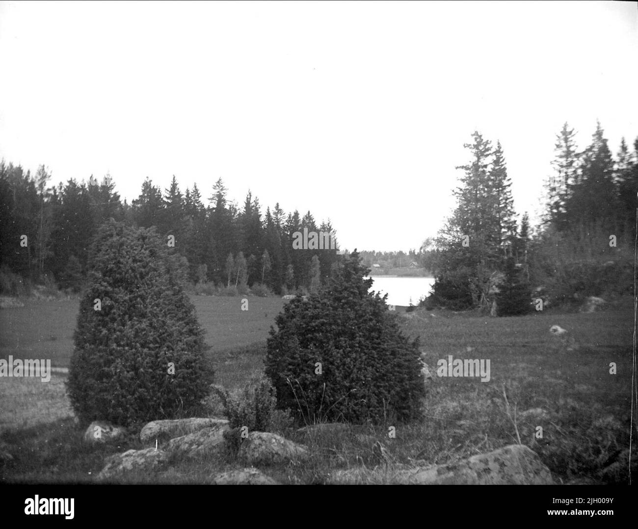 Ackerland am Trehörninger See, Gemeinde Funbo, Uppland Juni 1923. Ackerland am Trehörninger See, Gemeinde Funbo, Uppland Juni 1923 Stockfoto