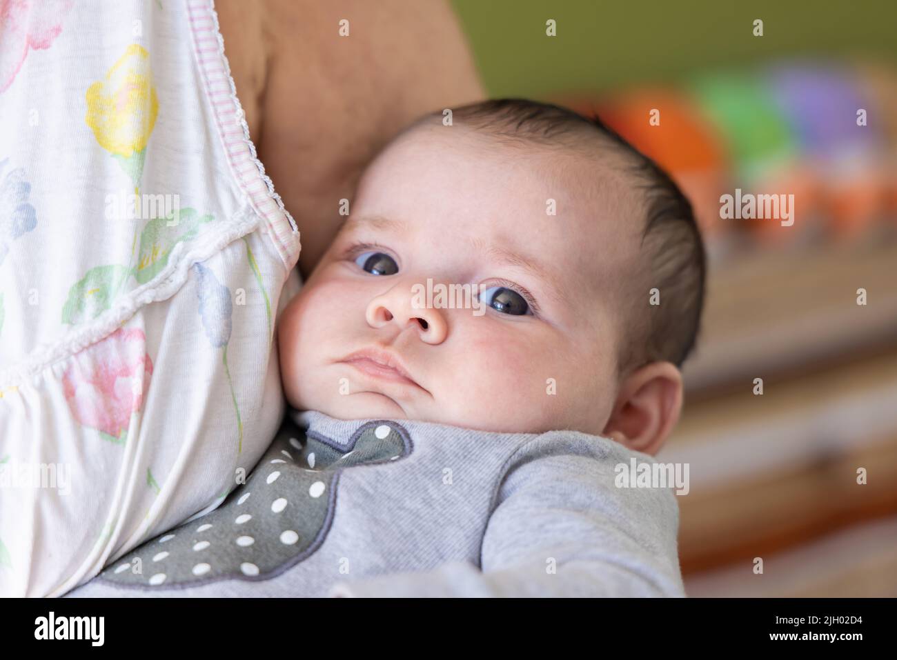 Vergrößert das Porträt eines schönen, einen Monat alten Mädchens, das im Brustbereich der Großeltern vor einem bunt verschwommenen Hintergrund gehalten wird und Platz für Kopien bietet. Stockfoto