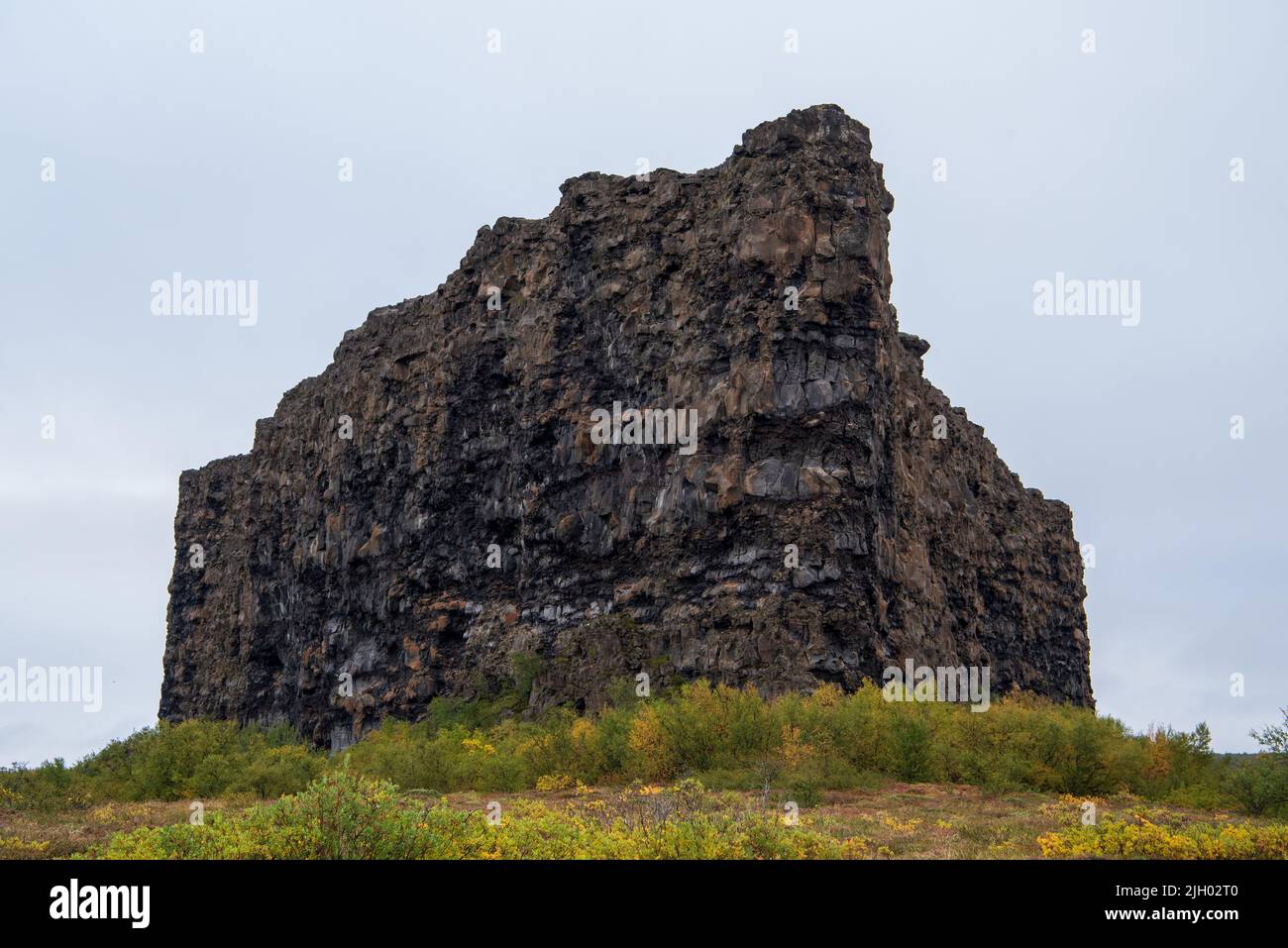 Ásbyrgi ist eines der Wunder der Natur, eine gut bewaldete, von Pferden geformte Schlucht in Oxarfjordur. Asbyrgi ist ein Teil der Jökulsárgljúfur Schlucht, innerhalb Stockfoto