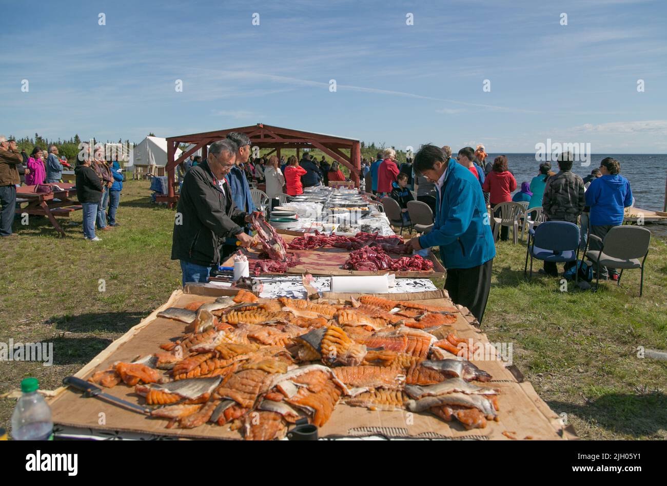 Indigene Dene Männer bereiten Wild und Fisch für das Gemeinschaftsfest im Sommer im nördlichen Dorf Deline, Northwest Territories, Kanada, vor Stockfoto