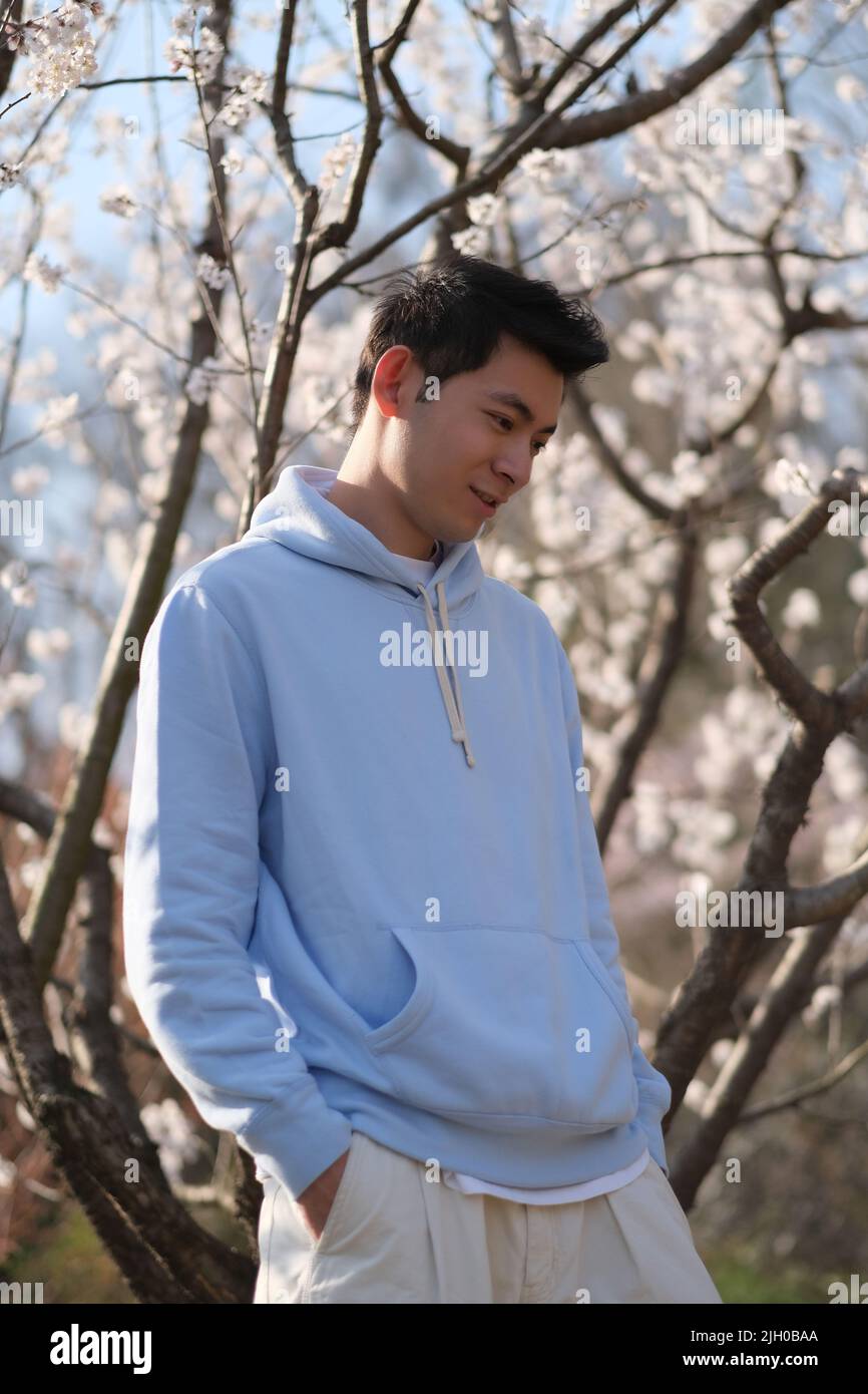 Hübscher asiatischer junger Mann in den Taschen, genießen Sie das Sonnenlicht unter dem weißen Sakura-Blütenbaum Stockfoto