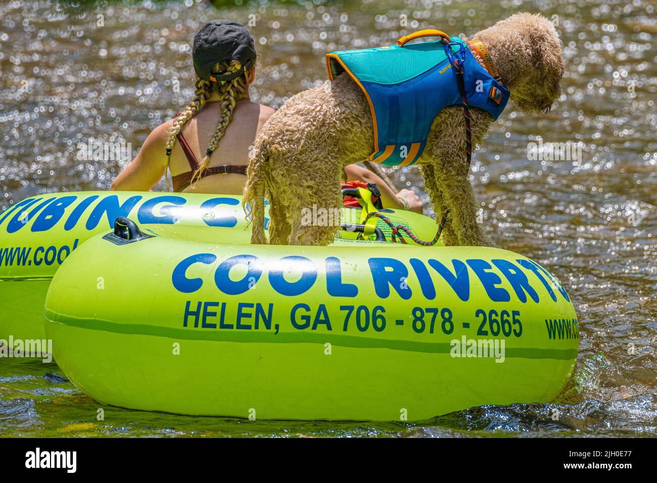 Frau tubelt entlang ihres lebensjackigen Labradoodle auf dem Chattahoochee River in Helen, einer alpinen Touristenstadt in den North Georgia Mountains. (USA) Stockfoto