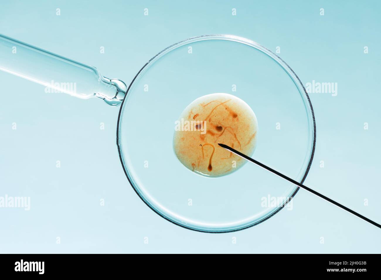 Konzept der in-vitro-Fertilisation. Künstliche Befruchtung oder Fruchtbarkeitsbehandlung Makrofotografie. Stockfoto