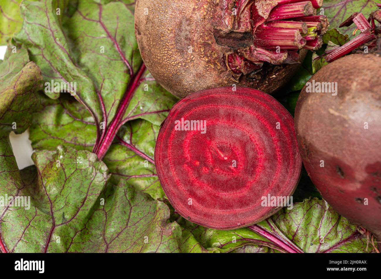 Frische Rüben. Rüben, Blätter und frische Rote Bete. Stockfoto
