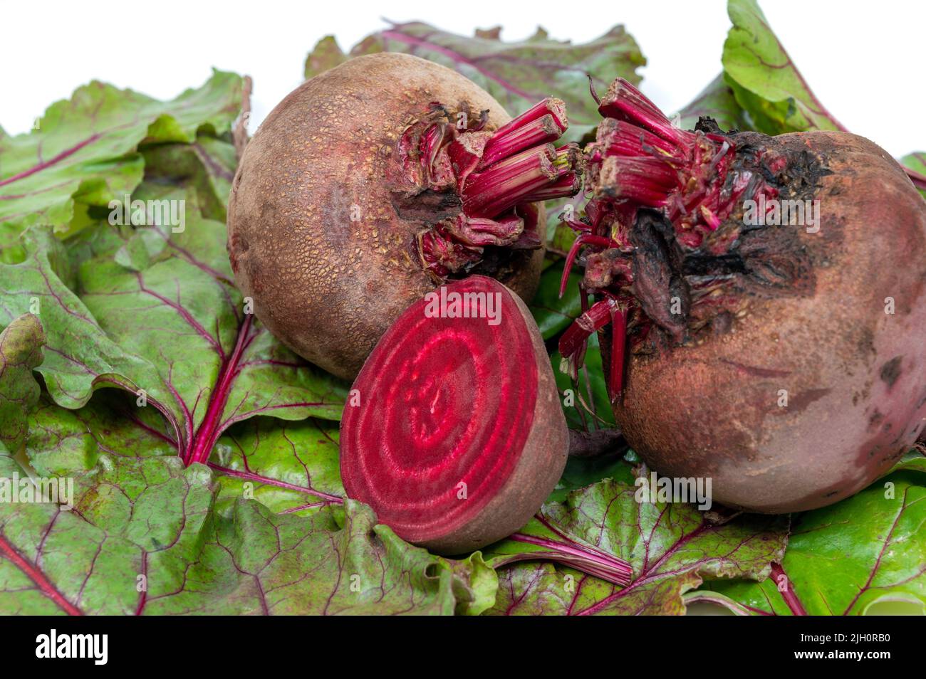Frische Rüben. Rüben, Blätter und frische Rote Bete. Stockfoto