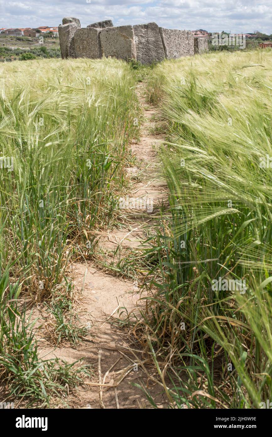 Dolmen von Cerca del Marco alte Gebäude in der Nähe von magalithic Magacela in Extremadura. Spanien Stockfoto