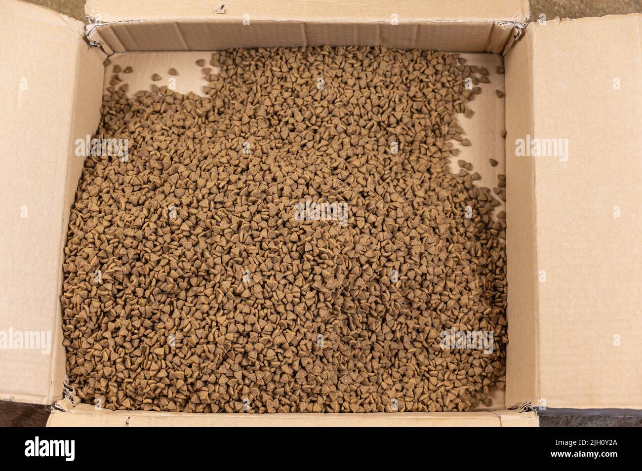 Katzenfutter in einem offenen Karton lose trocknen. Dreieckige braune Pellets. Haustierbedarf. Selektiver Fokus. Stockfoto
