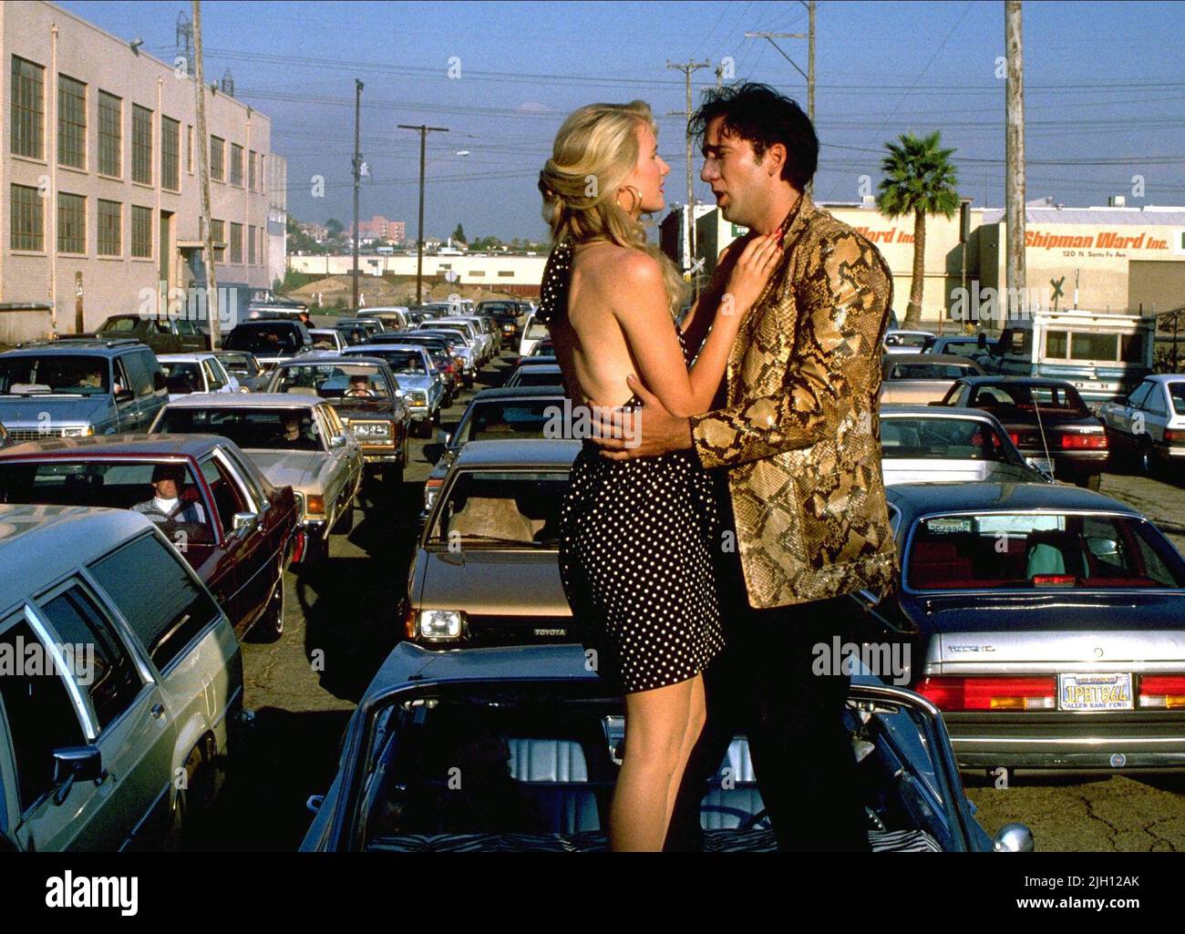 DERN, Cage, Wild At Heart, 1990 Stockfoto