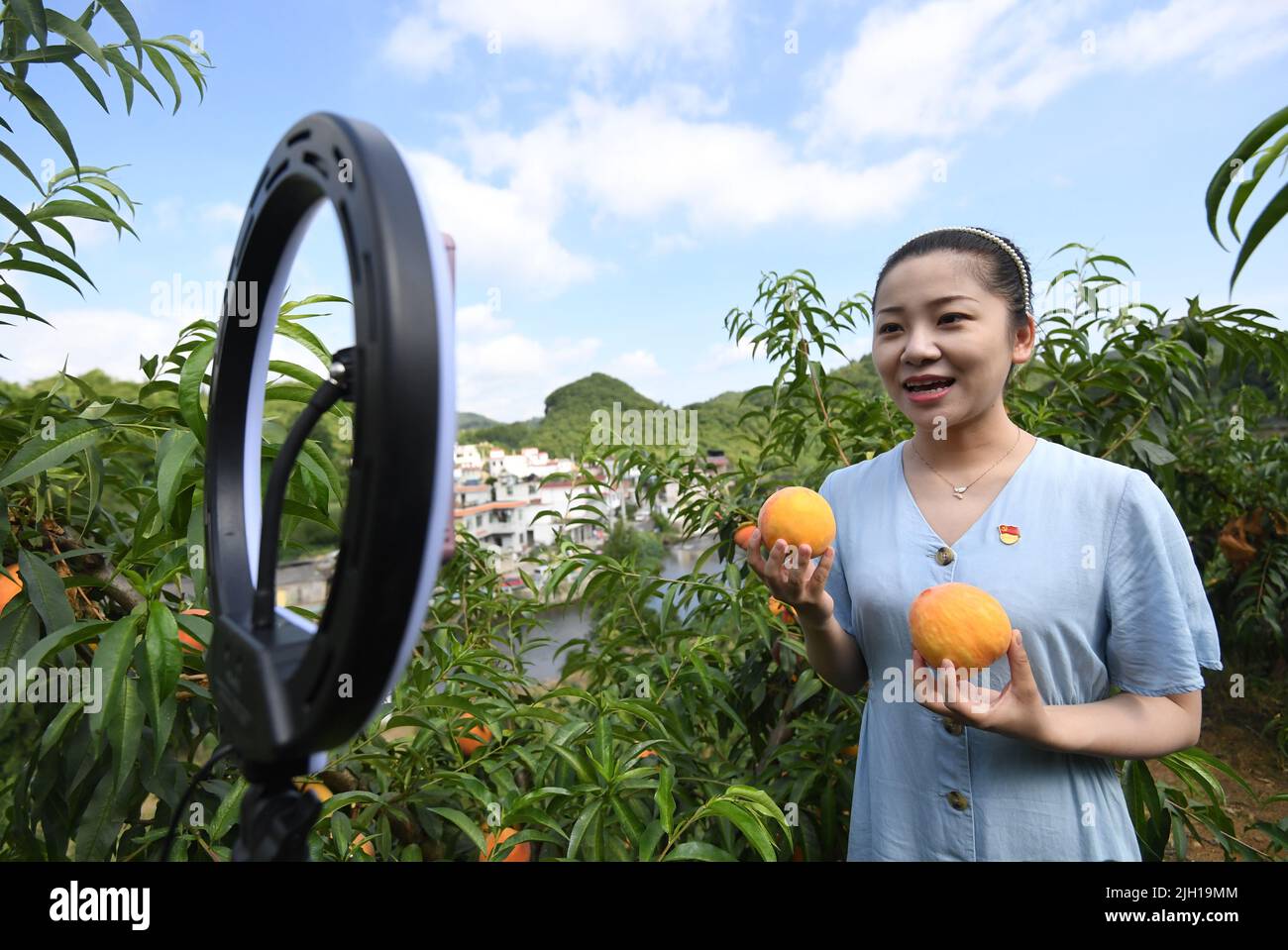 GUIYANG, CHINA - 14. JULI 2022 - Dorfbewohner fördern goldene Pfirsiche durch Livestreaming in Guiyang, Provinz Guizhou, China, 14. Juli 2022. Stockfoto