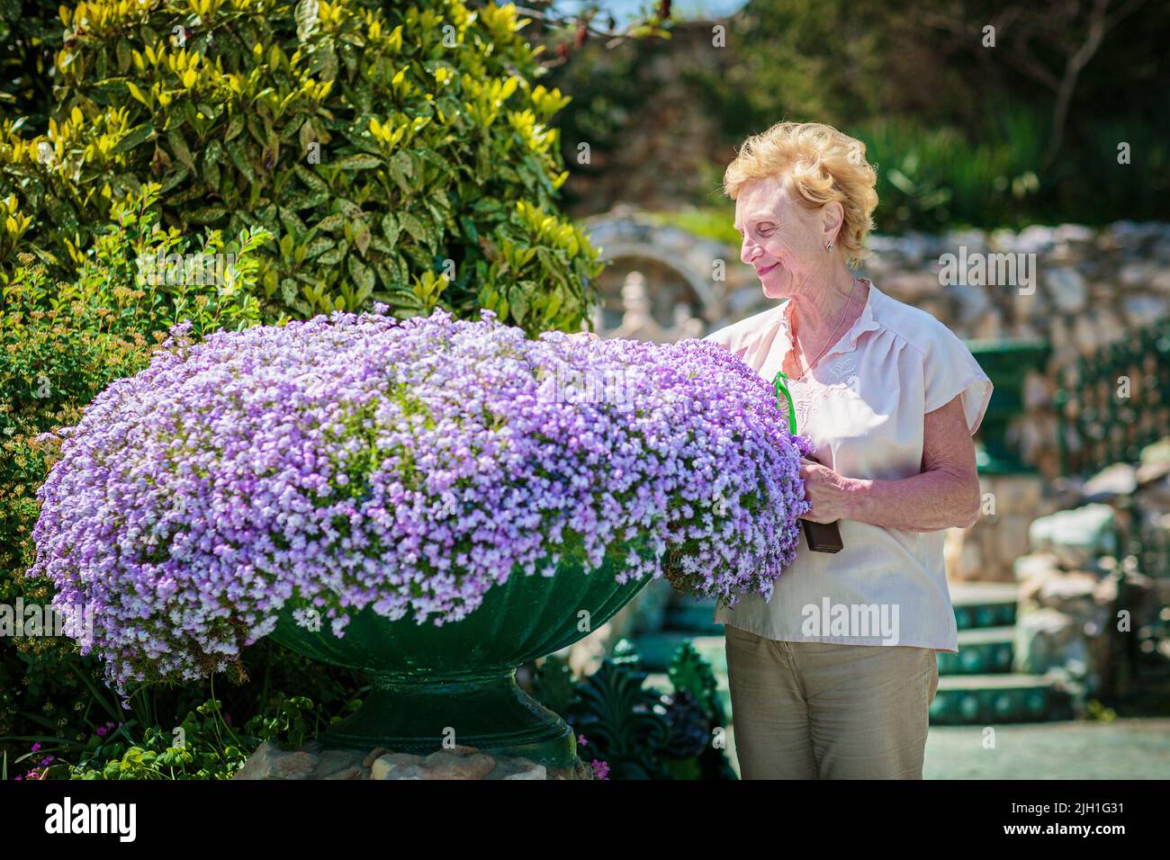 Ältere Frau, die in der Nähe eines großen Blumentopfes mit violetten Blumen steht Stockfoto