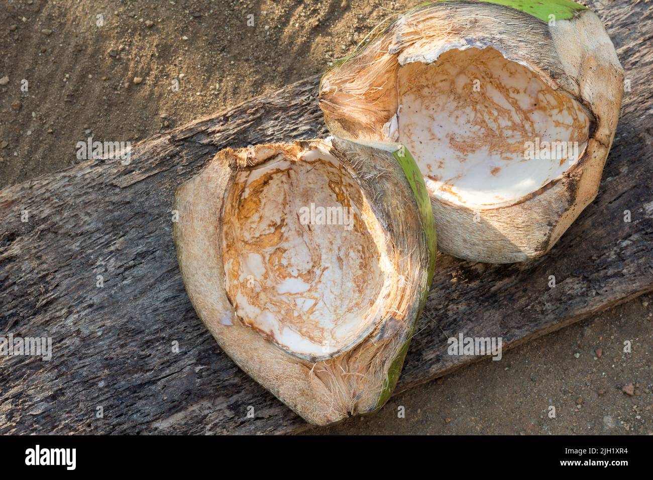 Kokospalmen oder Kokokerguss, die unter der Sonne trocknen, auch Kokosfaser genannt, äußere Kokosnussschale, von oben mit Platz für Text aufgenommen Stockfoto