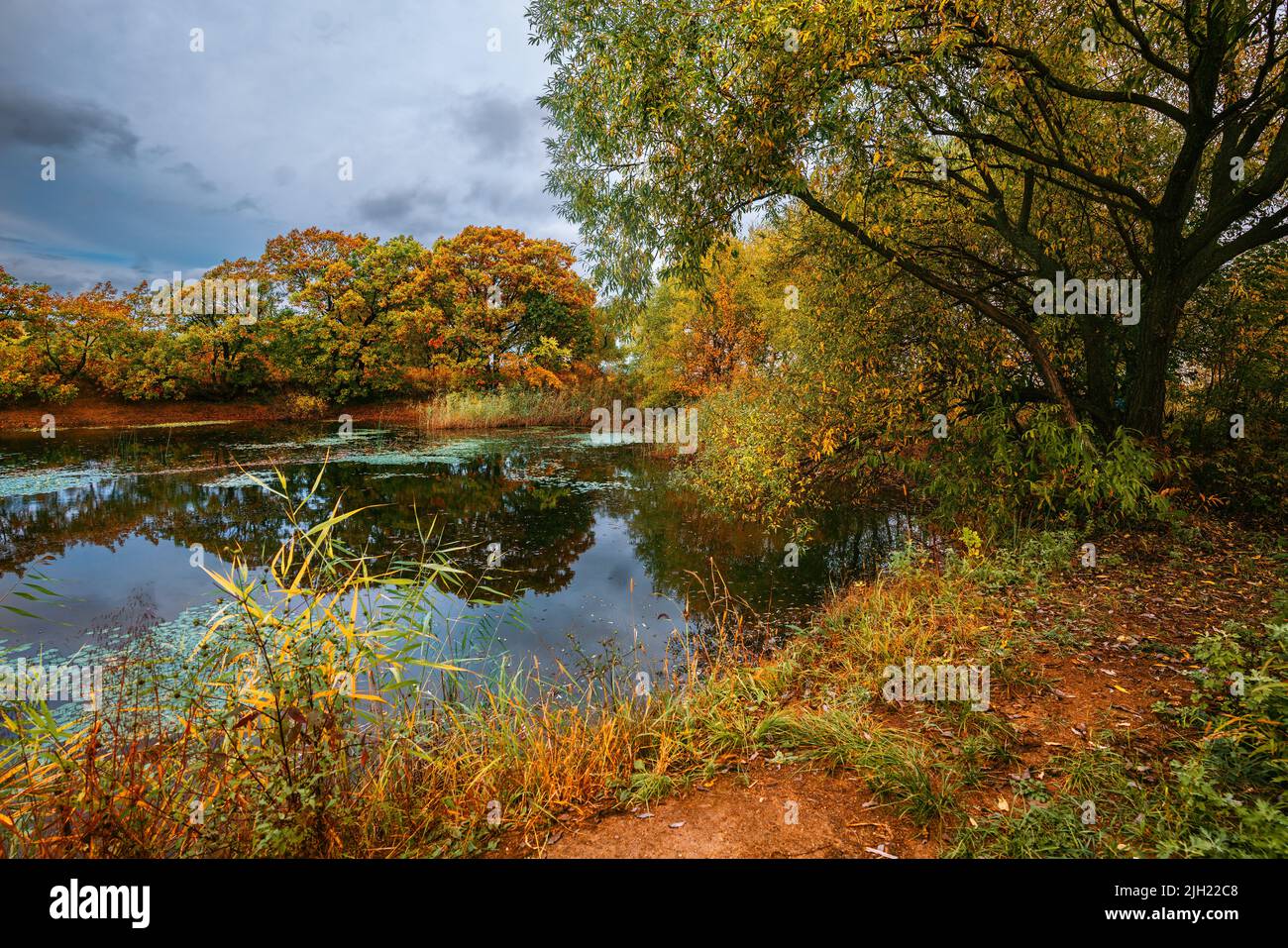 Fluss im Frühherbst, farbige Blätter, schöne Landschaft Stockfoto