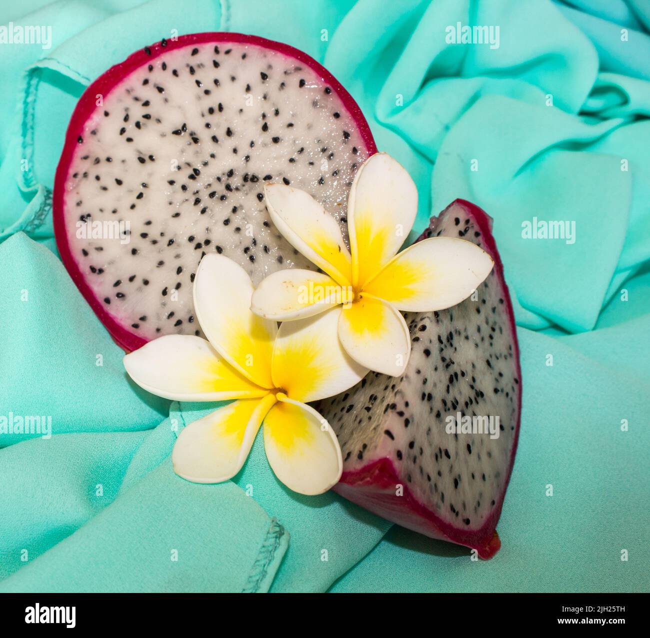 Eine in Scheiben geschnittene Drachenfrucht, verziert mit Frangipanni-Blüten, auf türkisfarbenem Hintergrund Stockfoto