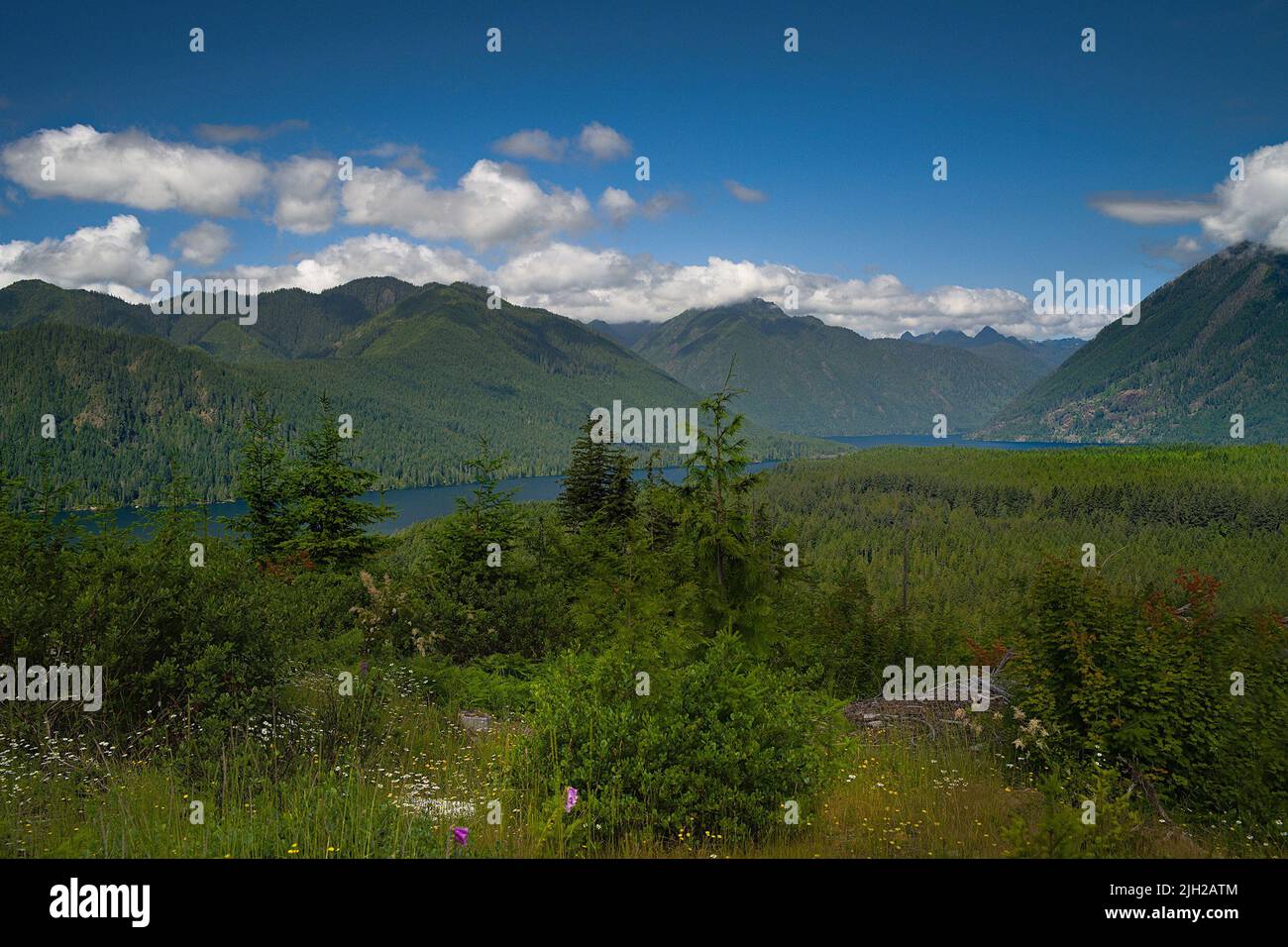 Lake Cushman Waskington State Stockfoto