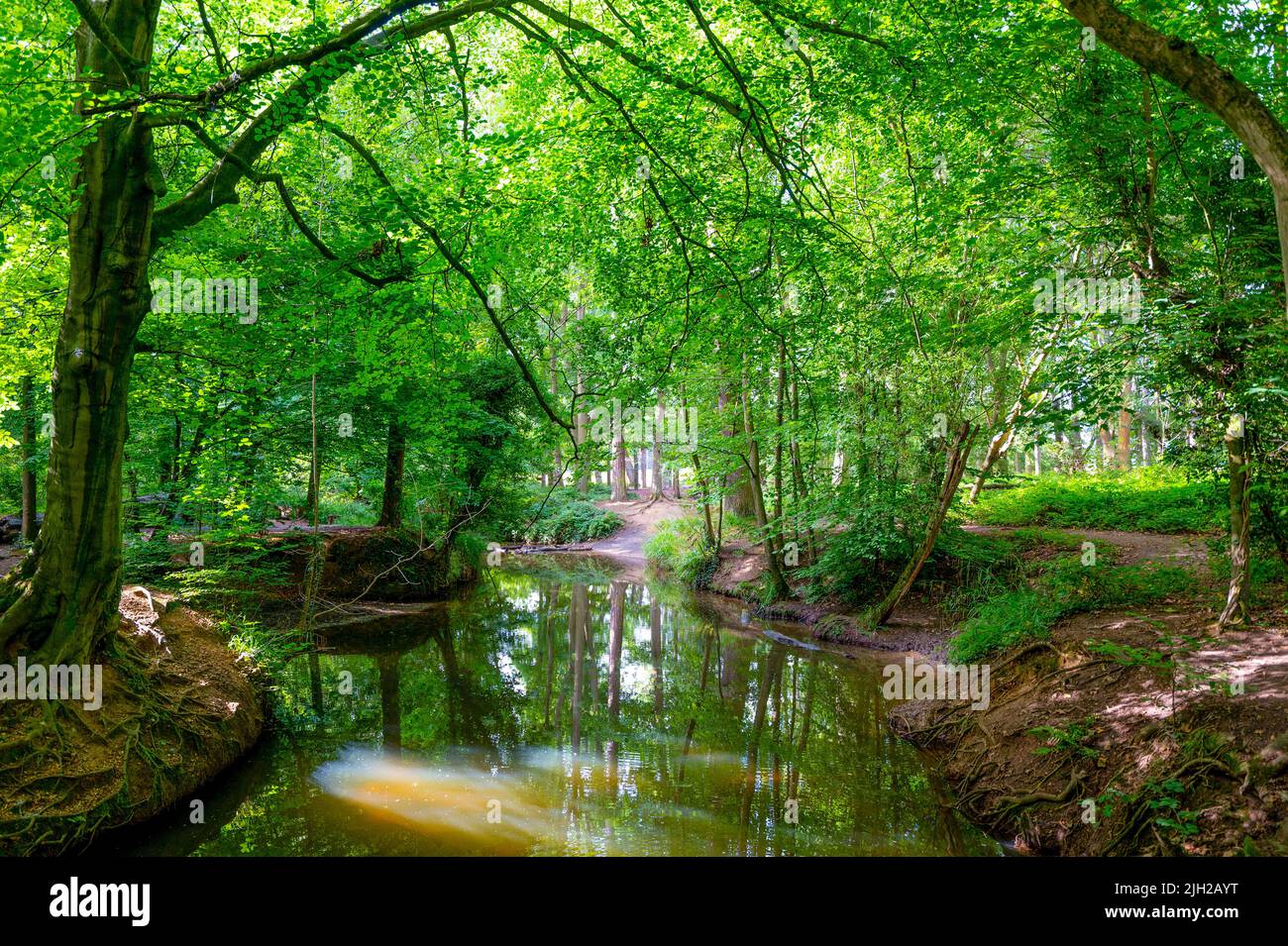 Fluss, der im Coombe Abbey Country Park durch Wälder fließt Stockfoto