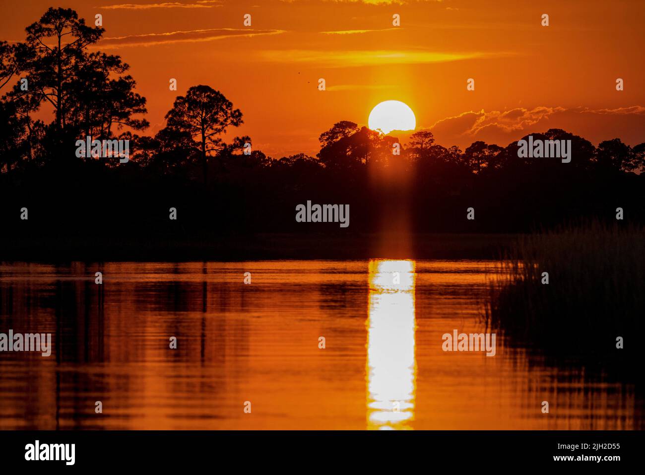 Dämmerung auf den Sümpfen in der Nähe von Charleston, SC. Stockfoto