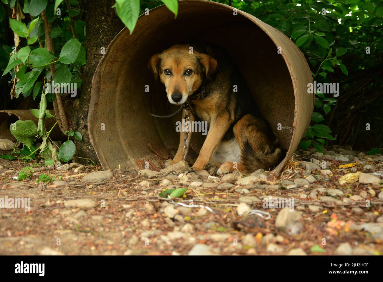 Die, die wir lieben, gehen nicht weg Fotos und Bildmaterial in hoher Auflösung Alamy