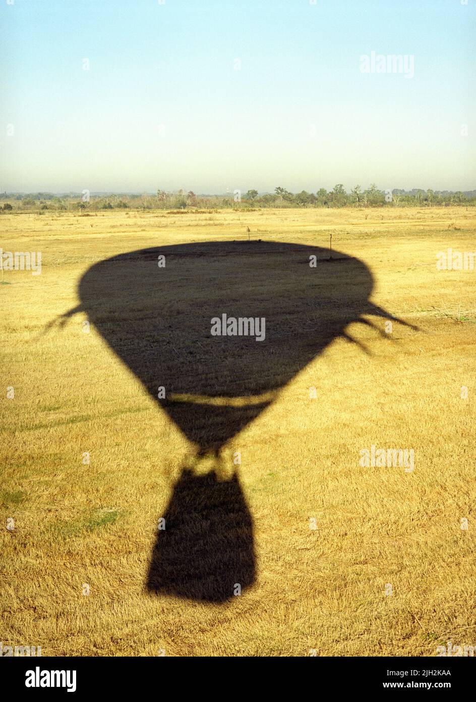Schatten eines Heißluftballons, der über ein Feld fährt. Am frühen Morgen. Kissimmee, Florida Stockfoto