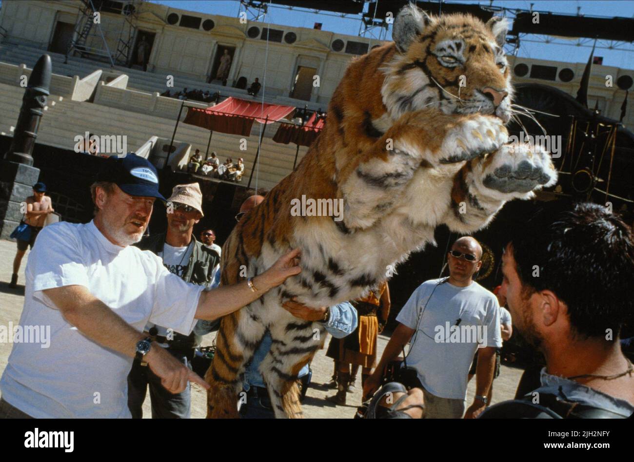 SCOTT, TIGER, GLADIATOR, 2000 Stockfoto
