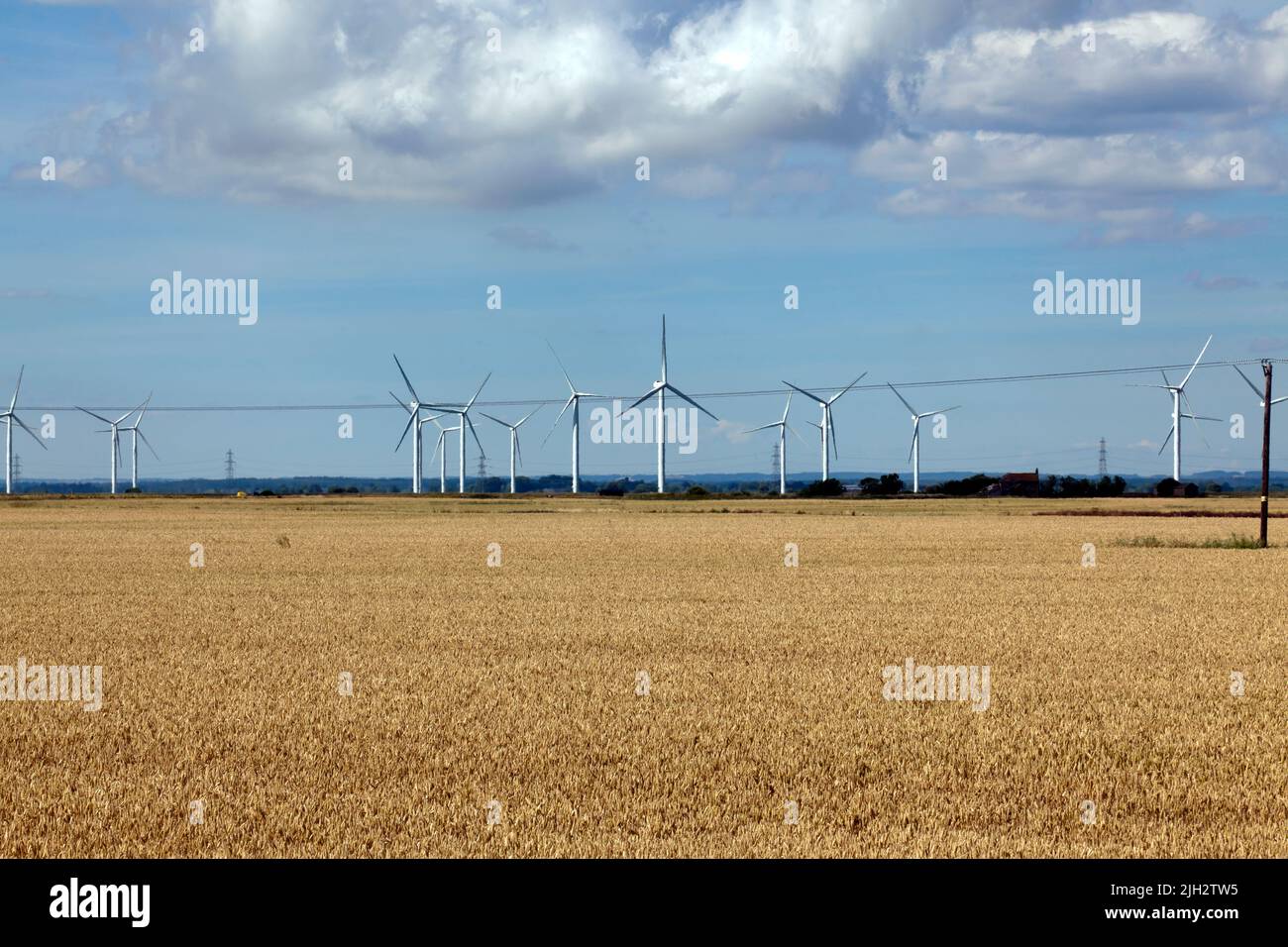 Little Cheyne Court Wind Farm, Romney Marsh, Kent Stockfoto