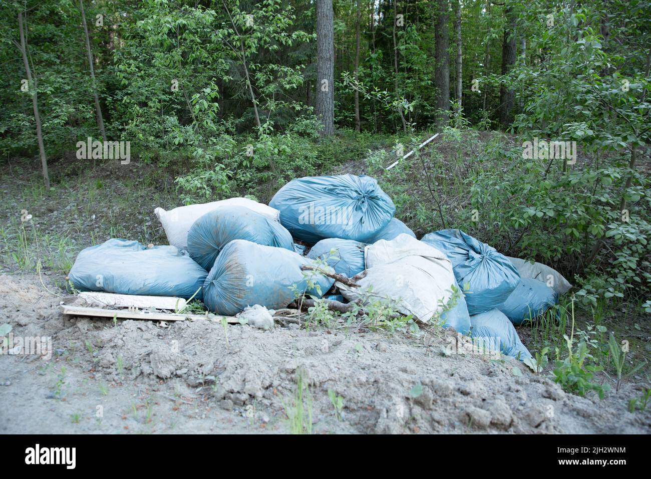 Müll und Verschmutzung. Umweltschutz oder Freiwilligenarbeit für wohltätige Zwecke, Abfallentsorgung durch Recycling. Abfall wird dicht im abgelagert Stockfoto