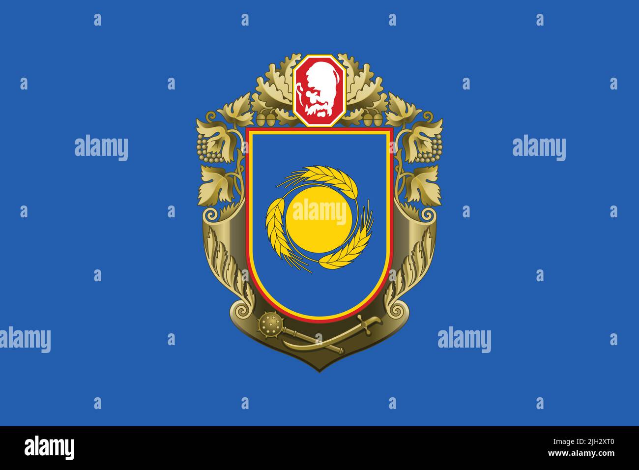 Flagge des TSCHERKASSY-GEBIETS, UKRAINE Stock Vektor