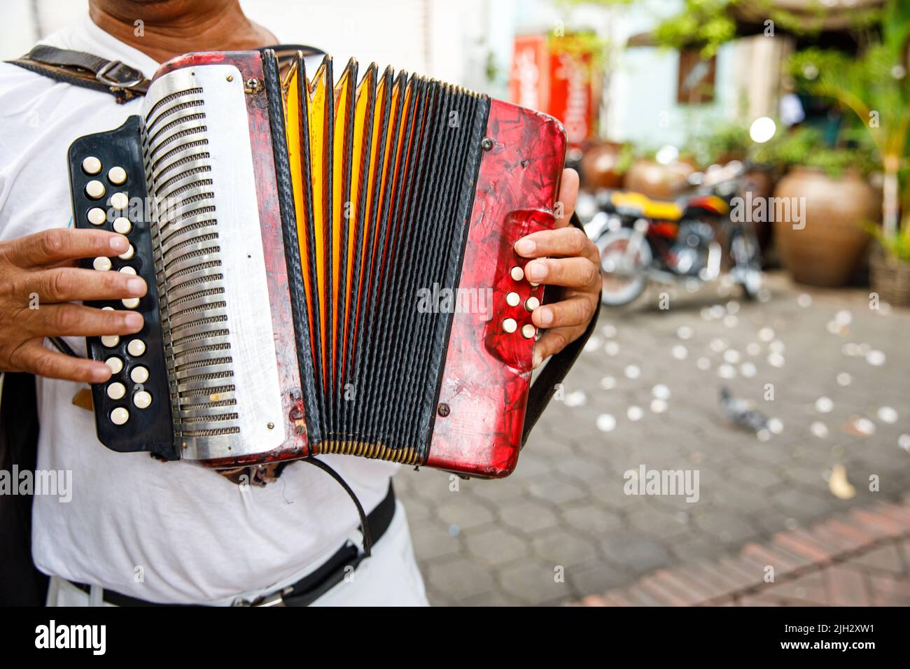 Straßenmusiker in der Dominikanischen Republik. Santo Domingo Columbus Park, Kolonialzone. Stockfoto