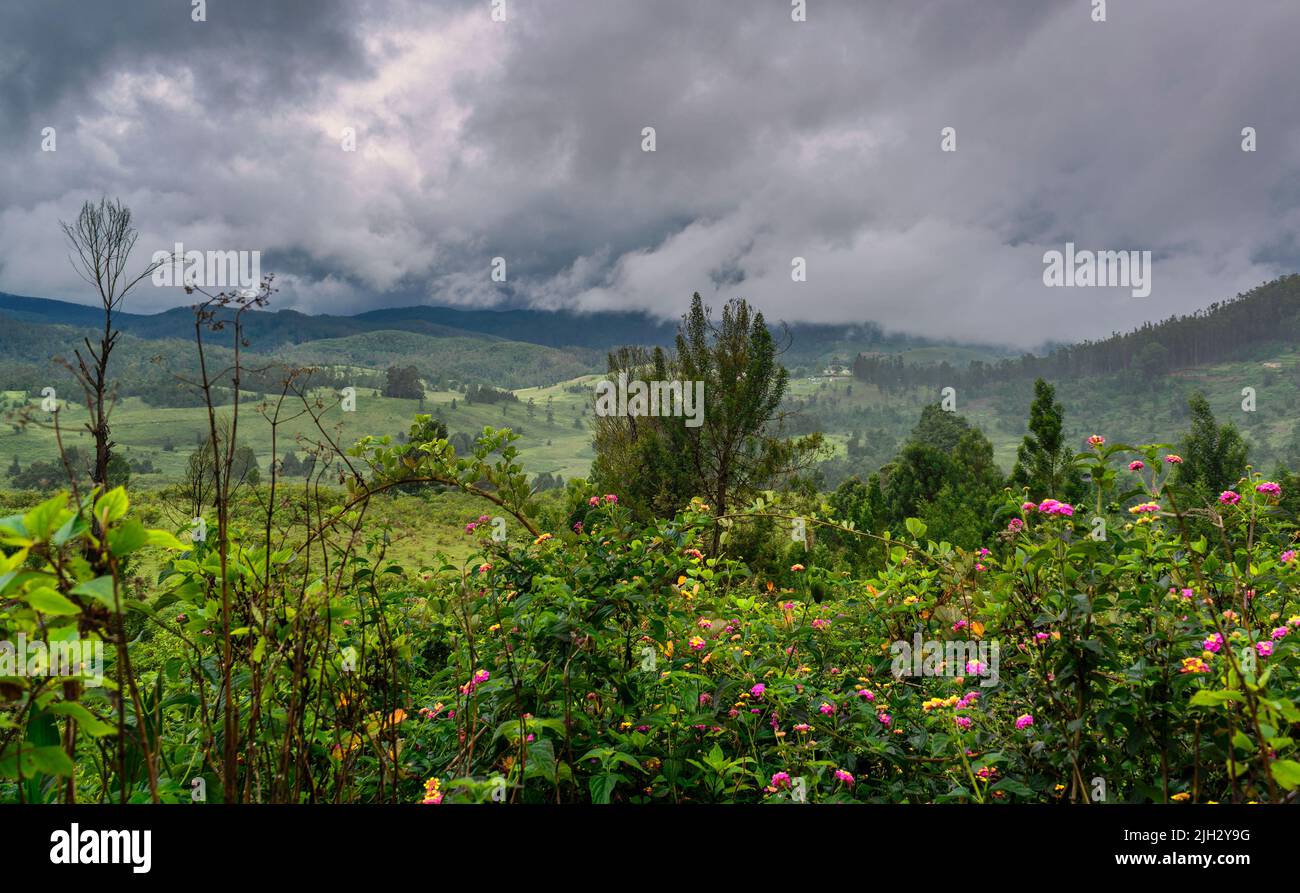 Schöne Aussicht auf den Kodaikanal, eine Bergstation in Tamilnadu, Indien Stockfoto