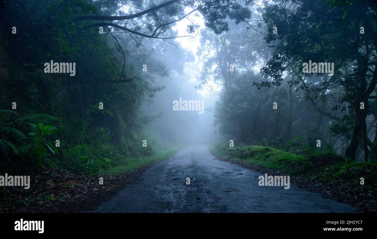 Schöne Aussicht auf die Kodaikanal Road, eine Bergstation in Tamilnadu, Indien Stockfoto