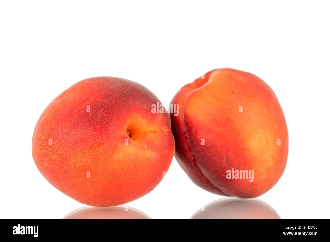 Zwei reife rote Aprikosen, Nahaufnahme, isoliert auf weißem Hintergrund. Stockfoto