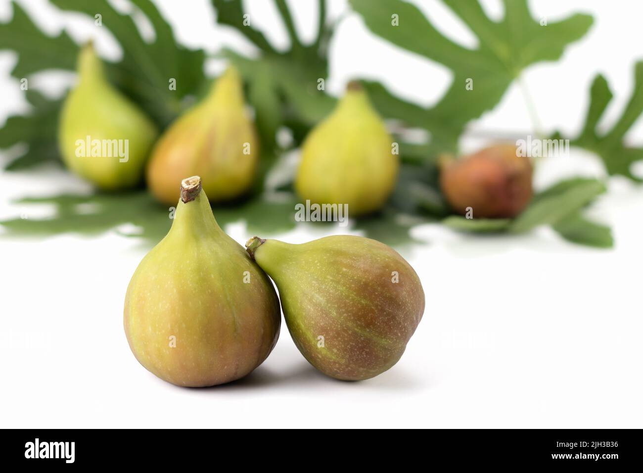 Frische Feigen Früchte isoliert auf weißem Hintergrund. Konzept der gesunden Ernährung. Selektiver Fokus. Stockfoto