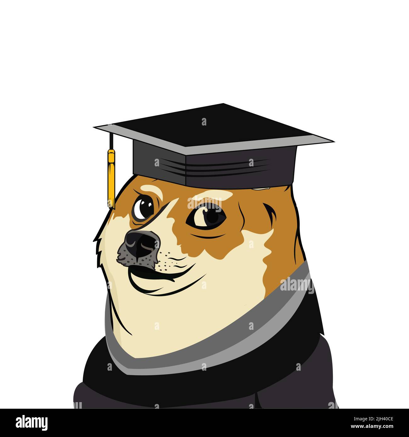 Shiba Meme Hund mit Graduierung Kappe Vektor Stock Vektor