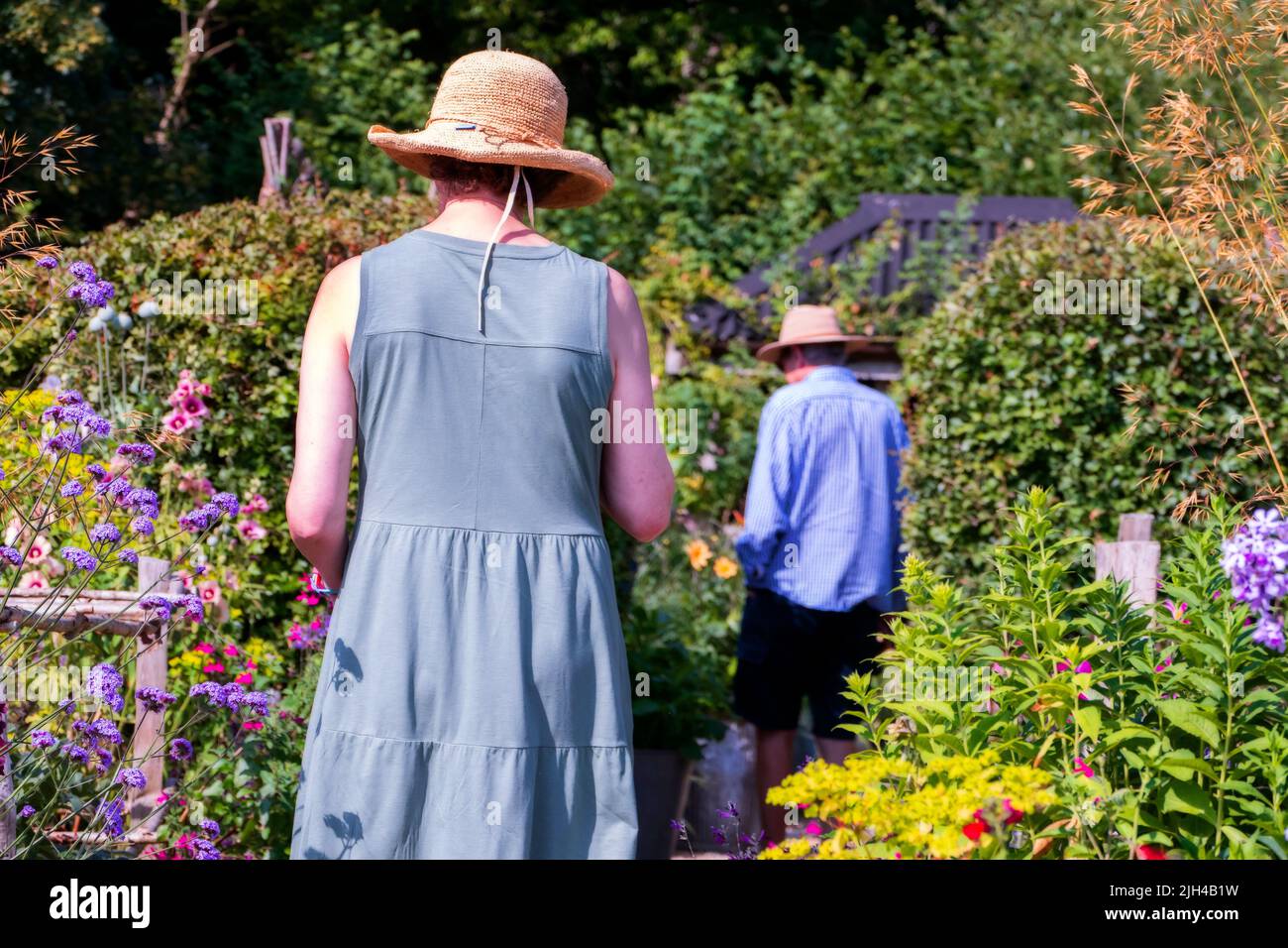 Barch Hill Garden im Juli East Sussex UK Stockfoto