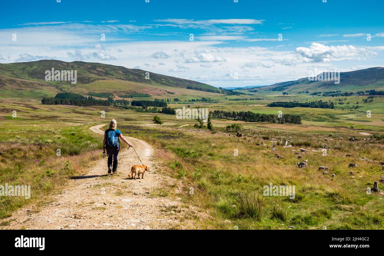 Ein Hundespaziergänger in Glen Clova in Angus, Schottland Stockfoto