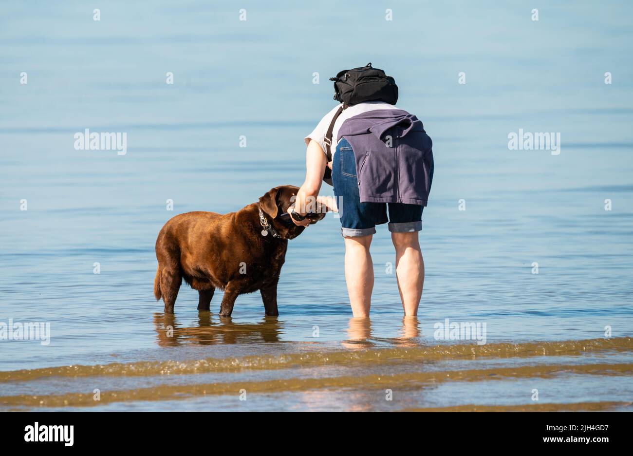 Littlehampton, West Sussex, Großbritannien. Freitag, 15.. Juli 2022. Eine Dame fotografiert ihren Hund im Meer an einem weiteren sehr warmen und sonnigen Morgen an der Südküste. Kredit: Geoff Smith/Alamy Live Nachrichten Stockfoto