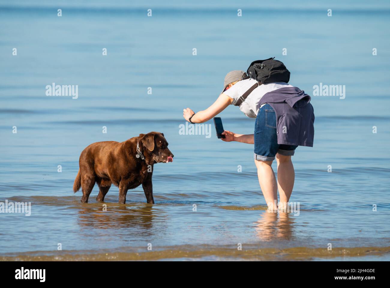 Littlehampton, West Sussex, Großbritannien. Freitag, 15.. Juli 2022. Eine Dame fotografiert ihren Hund im Meer an einem weiteren sehr warmen und sonnigen Morgen an der Südküste. Kredit: Geoff Smith/Alamy Live Nachrichten Stockfoto