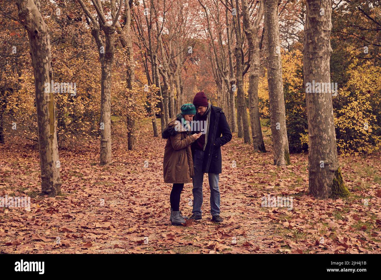 Echtes junges weißes kaukasisches Paar mit einem Smartphone in einem Park mit braunen Blättern, die im Herbst auf den Boden gefallen sind Stockfoto