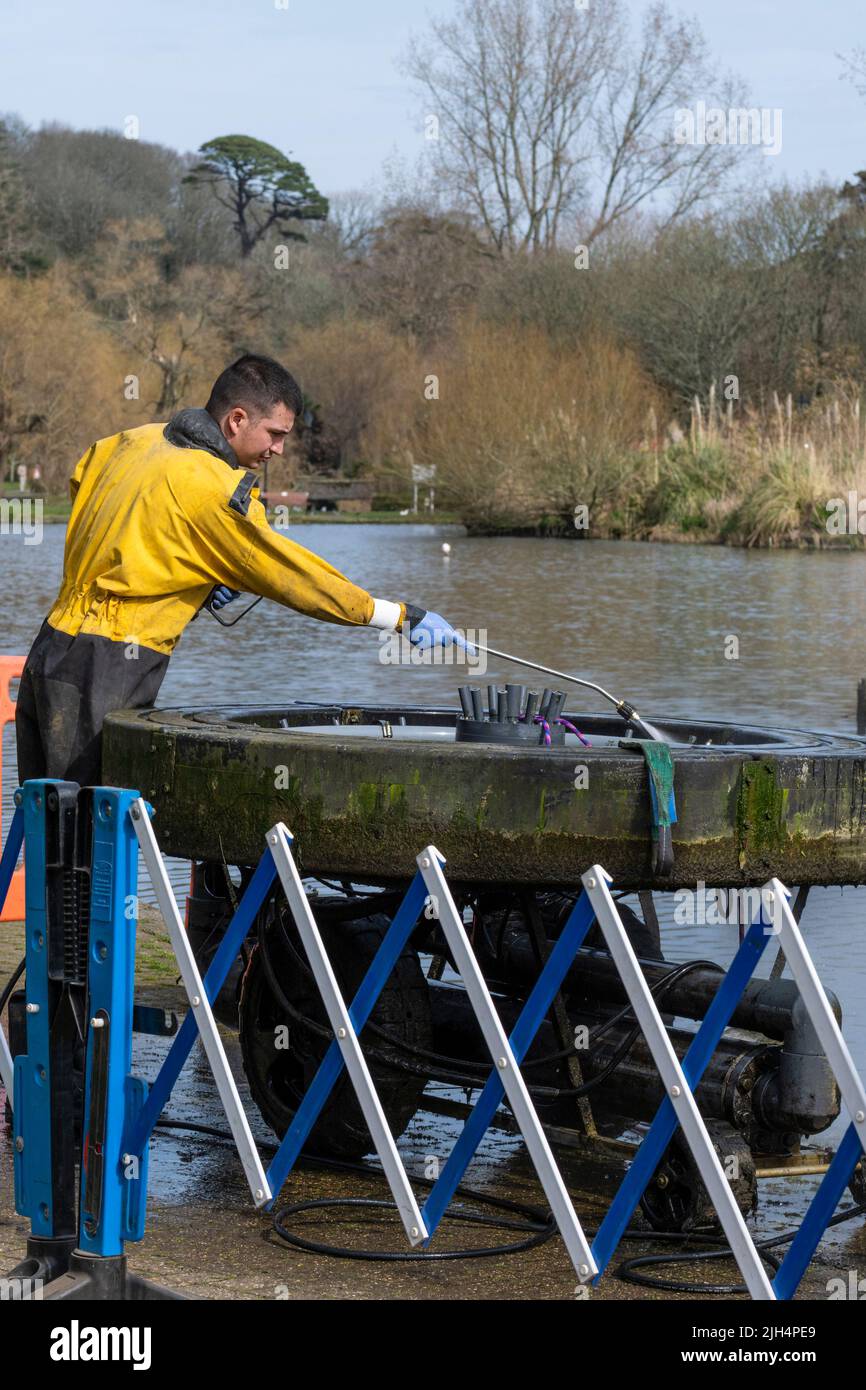 Ein Arbeiter, der einen Hochdruckreiniger verwendet und Wartungsarbeiten an einem Brunnen am Trenance Boating Lake in Newquay in Cornwall in Großbritannien durchführt. Stockfoto