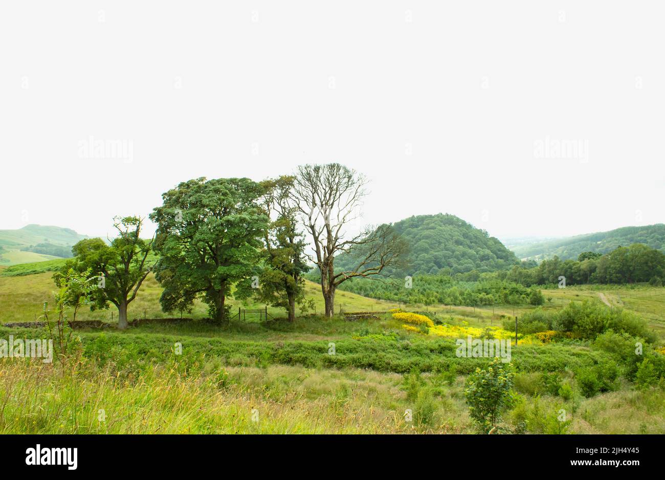 Wandern auf dem West Highland Way - Milngavie nach Drymen Stockfoto