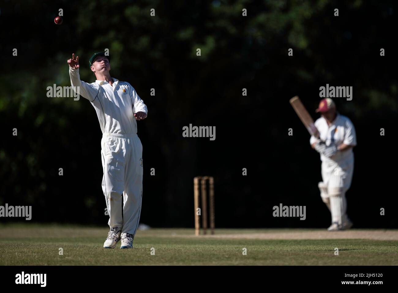 Cricket-Feldspieler wirft Cricket-Ball Stockfoto
